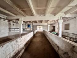 Продаж готової свиноферми фото 17 Продаж готової свиноферми фото 17