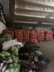 Продаж діючого фермерського комплексу 23,7 га в с. Красне, Білоцерківський район фото 10 Продаж діючого фермерського комплексу 23,7 га в с. Красне, Білоцерківський район фото 10
