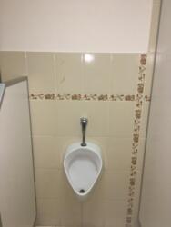 Продаж окремо стоячого комплексу із земельною ділянкою фото 13 Продаж окремо стоячого комплексу із земельною ділянкою фото 13