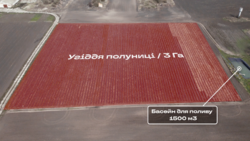 ФЕРМЕРСЬКИЙ КОМПЛЕКС З ВИРОЩУВАННЯ ТА ЗБЕРІГАННЯ ОВОЧІВ фото 11 ФЕРМЕРСЬКИЙ КОМПЛЕКС З ВИРОЩУВАННЯ ТА ЗБЕРІГАННЯ ОВОЧІВ фото 11