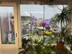 ������ ��������� ������������ ��������� ��������� ���� 6