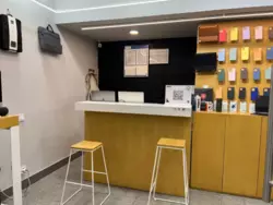 ������ �������� ������ Apple ���� 6