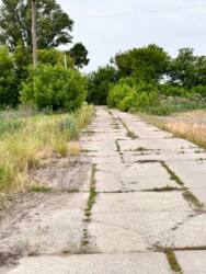 Продаж готової свиноферми фото 2 Продаж готової свиноферми фото 2