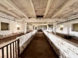 Продаж готової свиноферми фото 16 Продаж готової свиноферми фото 16