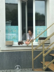 Продаж окремо стоячого комплексу із земельною ділянкою фото 22 Продаж окремо стоячого комплексу із земельною ділянкою фото 22