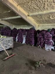 Продаж діючого фермерського комплексу 23,7 га в с. Красне, Білоцерківський район фото 11 Продаж діючого фермерського комплексу 23,7 га в с. Красне, Білоцерківський район фото 11