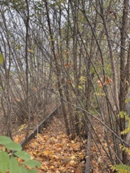 Власник без комісії перша лінія, залізнична гілка ціла з проєктом,земля право власності 1.81га продаються приміщення 1020м2 своя підстанція виділено -300квт на трасі Полтава-Київ . фото 14 Власник без комісії перша лінія, залізнична гілка ціла з проєктом,земля право власності 1.81га продаються приміщення 1020м2 своя підстанція виділено -300квт на трасі Полтава-Київ . фото 14