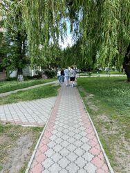 Оренда комерційного приміщення 52м2 фото 6 Оренда комерційного приміщення 52м2 фото 6