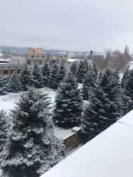 Продається об'єкт Полтавська, Чутовський, Чутове фото 9 Продається об'єкт Полтавська, Чутовський, Чутове фото 9