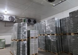 ������ ������������ ��������� �� ���. ����, ����� 4000 ��.� ���� 7