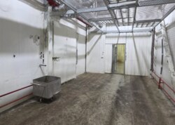 ������ ������������ ��������� �� ���. ����, ����� 4000 ��.� ���� 31