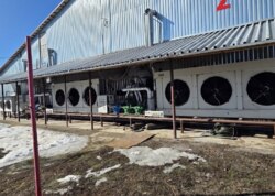 ������ ������������ ��������� �� ���. ����, ����� 4000 ��.� ���� 1