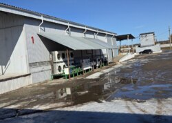 ������ ������������ ��������� �� ���. ����, ����� 4000 ��.� ���� 5