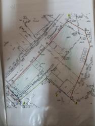 ������ ����������� ������������ ������������ ���� 3