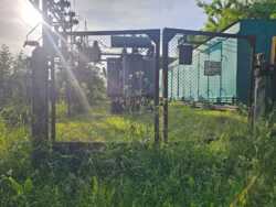   30 - ³ 250002 + 4   3