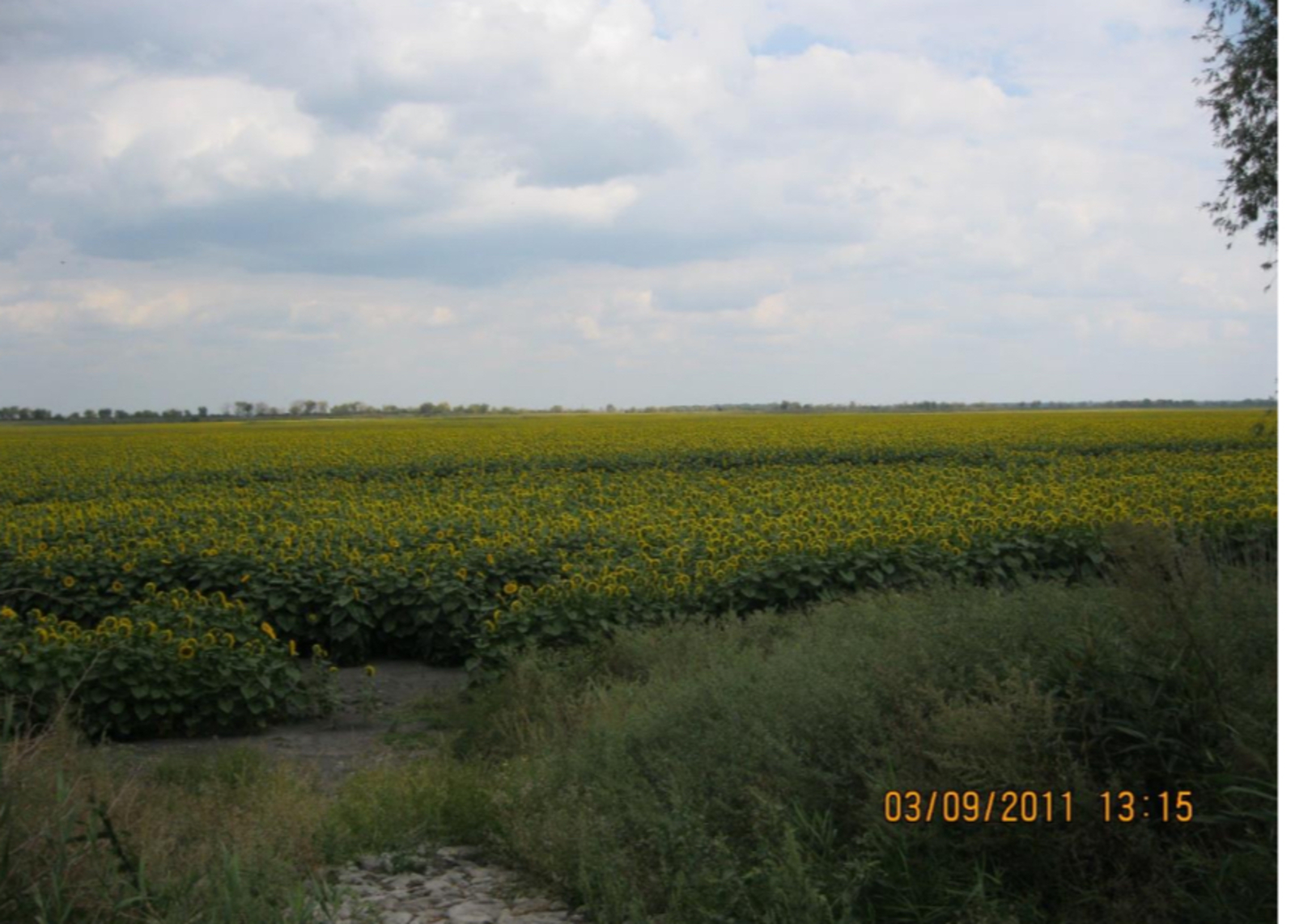 Продаж приватного сільськогосподарського підприємства фото 1 Продаж приватного сільськогосподарського підприємства фото 1