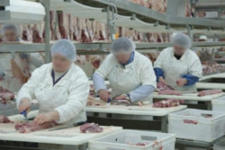 ��������� ��'��� ���������, ��� ���� 3