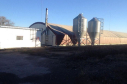 Кролеферма на 35000 голів фото 3 Кролеферма на 35000 голів фото 3