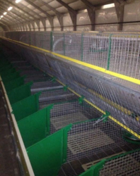 Кролеферма на 35000 голів фото 6 Кролеферма на 35000 голів фото 6