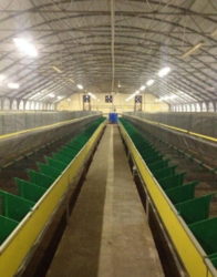 Кролеферма на 35000 голів фото 7 Кролеферма на 35000 голів фото 7