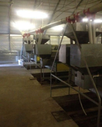 Кролеферма на 35000 голів фото 5 Кролеферма на 35000 голів фото 5