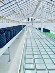 Ферма з вирощування медичного канабісу фото 2 Ферма з вирощування медичного канабісу фото 2