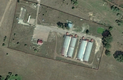 Кролеферма на 35000 голів фото 2 Кролеферма на 35000 голів фото 2