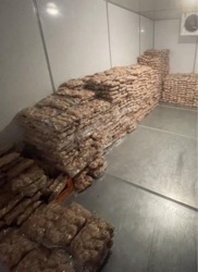 Діюча птахоферма : комплекс по вирощуванню перепілок. фото 2 Діюча птахоферма : комплекс по вирощуванню перепілок. фото 2