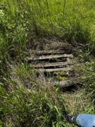 ���������-��������� ��������� � ����������� ���� 5