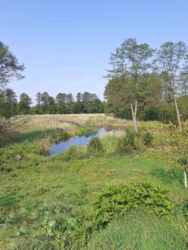 ������ ������������������� ����� � �. ������� ������������ �-�� ���� 15