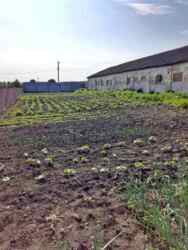 ������ ������������������� ����� � �. ������� ������������ �-�� ���� 24