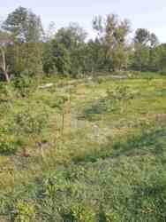 ������ ������������������� ����� � �. ������� ������������ �-�� ���� 21