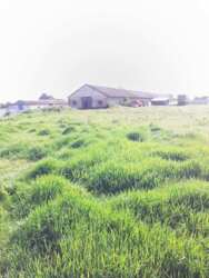 ������ ������������������� ����� � �. ������� ������������ �-�� ���� 22