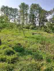 ������ ������������������� ����� � �. ������� ������������ �-�� ���� 17