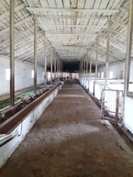 ������ ������������������� ����� � �. ������� ������������ �-�� ���� 25