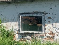 Приміщення вільного призначення 1000кв.м. + 50сот у власності фото 6 Приміщення вільного призначення 1000кв.м. + 50сот у власності фото 6