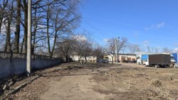 ������ ���� � �� ����� �-� ���� �������� ���� 16