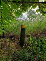 Продажа комплекса в Тараще фото 9 Продажа комплекса в Тараще фото 9