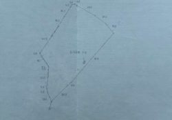    ( )  2