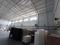 ������� ����������������� ��������� ���� 13