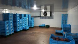 Комплекс под пищевое производство 3300 м2. фото 6 Комплекс под пищевое производство 3300 м2. фото 6