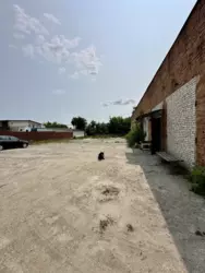 Продается объект Сумская, Сумы, Ковпаковский, Тополянська фото 2 Продается объект Сумская, Сумы, Ковпаковский, Тополянська фото 2