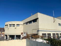 ������ ������������� �������� ���� 1