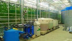 ������ ��������� ���������� ��������� �� ĳ����� ������� � ������� ������ ���� 5