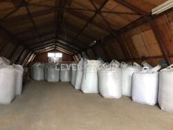 ������ ��������� ���������� ��������� �� ĳ����� ������� � ������� ������ ���� 8