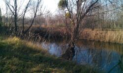 ������ ������ 10�� � ����������� �� ����������� �. ���, ����������� �-� ���� 14