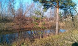 ������ ������ 10�� � ����������� �� ����������� �. ���, ����������� �-� ���� 19