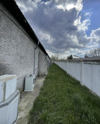 ��������� ������ �����������, �����������, ������, �������� ���� 8