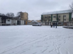 ��������� ������ �����������, �����������, ����� �����, ���������, 155 ���� 29