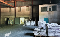 ��������� ��������� ��������� ���� 6